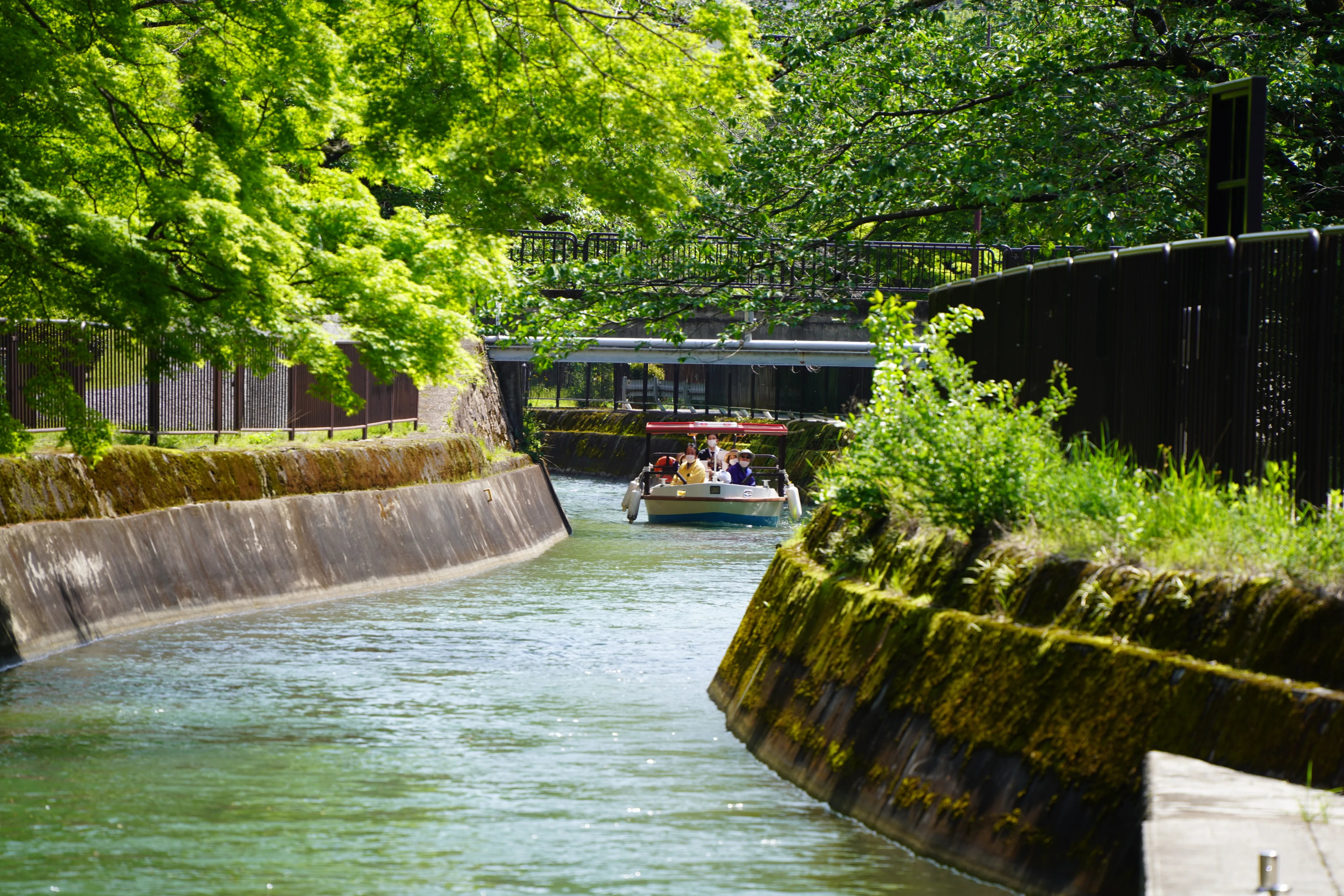 疏水船が進む水路
