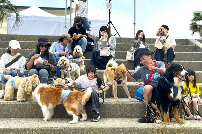 犬を連れて集まる来場者の様子